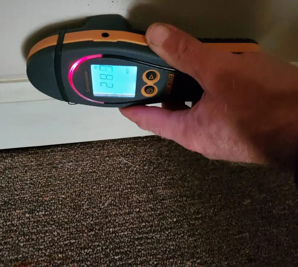 Moisture detection at baseboard during Sewage Cleanup & Sanitation in Andover